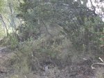DSCN5935.JPG