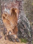 DSCN5955.JPG