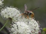 DSCN5957.JPG