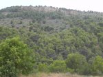 DSCN5969.JPG