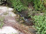DSCN5974.JPG