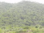 DSCN5977.JPG