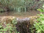 DSCN5973.JPG