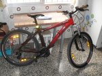 SDC13473.JPG