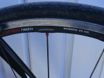 zipp 011.JPG