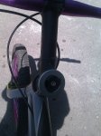 IMAG0050.jpg