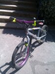 IMAG0051.jpg
