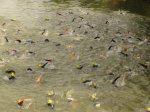 DSC01438.JPG
