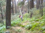 DSCN3270.JPG