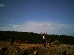PICT0016.JPG