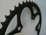 P1010310_800x600.jpg