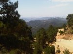 IMG00844-20110820-1343.jpg