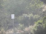 DSCN6094.JPG