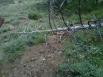 IMG00153-20110703-1316.jpg