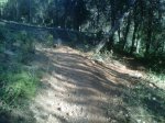 IMG00192-20110725-0929.jpg