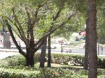 DSCN6145.JPG