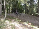 P8210985 - copia.JPG