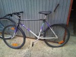 DSC00117.jpg