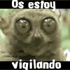 te-vigilo.gif