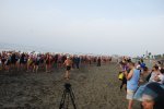 DSC_0522.JPG