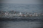 DSC_0533.JPG