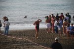 DSC_0553.JPG