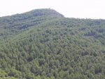 DSCN6203.JPG