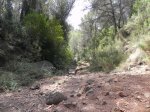 DSCN6207.JPG