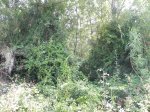 DSCN6218.JPG