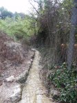 DSCN6217.JPG