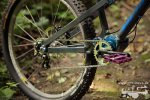 Pinion_Nicolai17von34.jpg