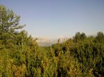 SNC00604.jpg