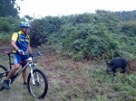 23082011064 (Copiar).jpg