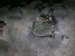 23082011280.jpg