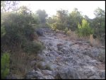 PICT0001.jpg