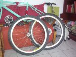 100_7069.JPG