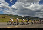 toco11st01-back.jpg