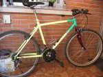 MTB_02.JPG