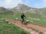 pinos (9).jpg