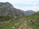 pinos (21).jpg