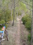 DSCN0403.jpg