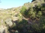 DSC03048x.JPG