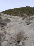 DSCN0410.jpg