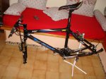 DSC00520.JPG
