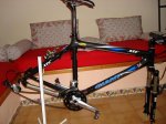 DSC00523.JPG