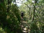 foncebadÃ³n-hippy (12).jpg