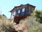foncebadÃ³n-hippy (25).jpg