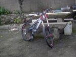 IMAG02602222.JPG