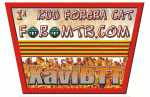 XAVIBTT.gif