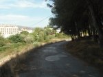 DSCF0255.JPG